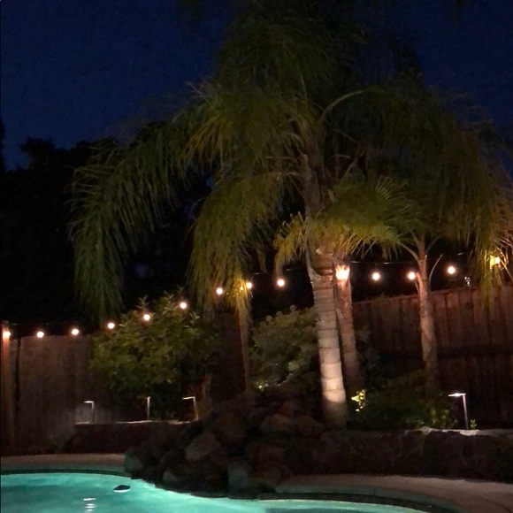 Meet your Posher, Matthew - Picture 1 of 1